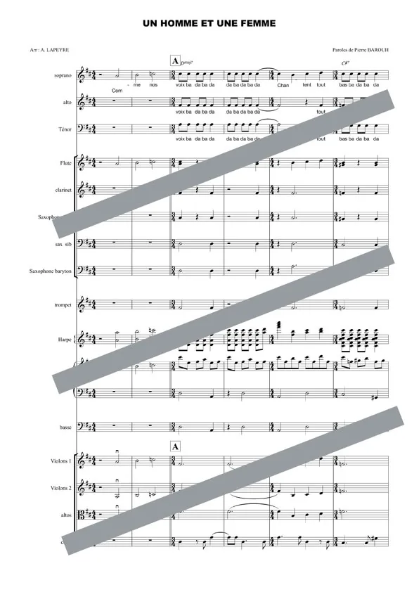 Un homme et une femme (orchestre et chant)