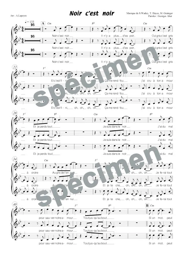 Noir c’est noir (chant)