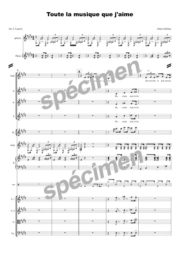 Toute la musique que j’aime (chant et orchestre)