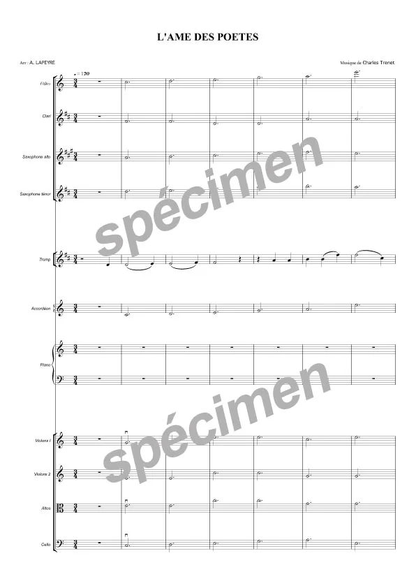 L’âme des poètes (chant et orchestre)