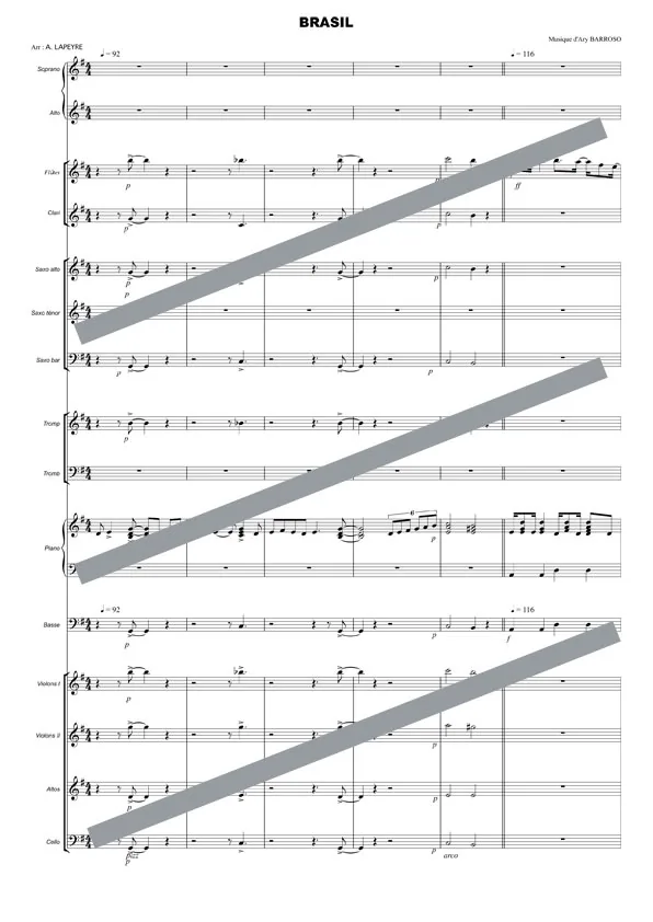 Brasil (orchestre et chant)