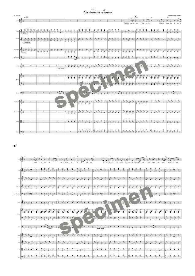 Les histoires d’amour (orchestre et chant)