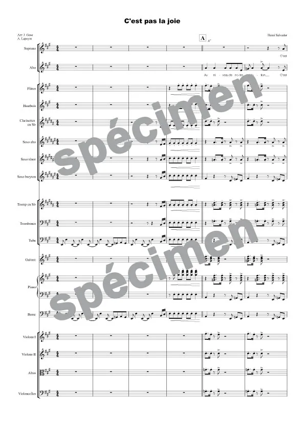 C’est pas la joie (orchestre et chant)
