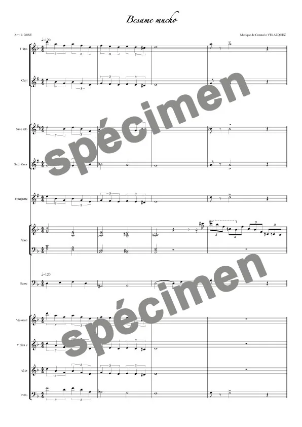Besame mucho (orchestre et chant)