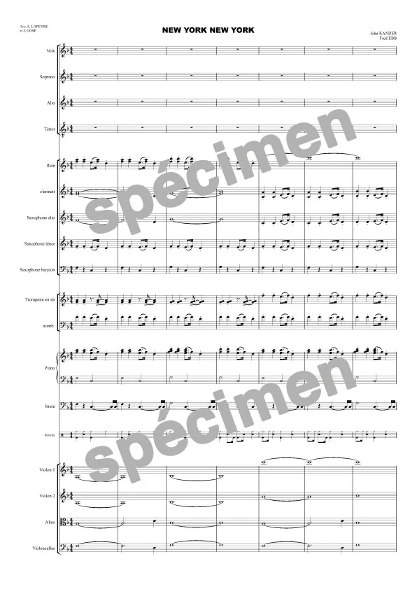 New-York New-York (orchestre et chant)