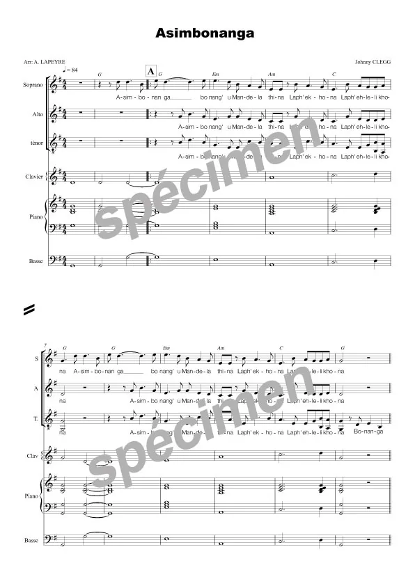Asimbonanga (chant et orchestre)