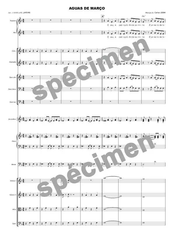 Aguas de março (orchestre et chant)