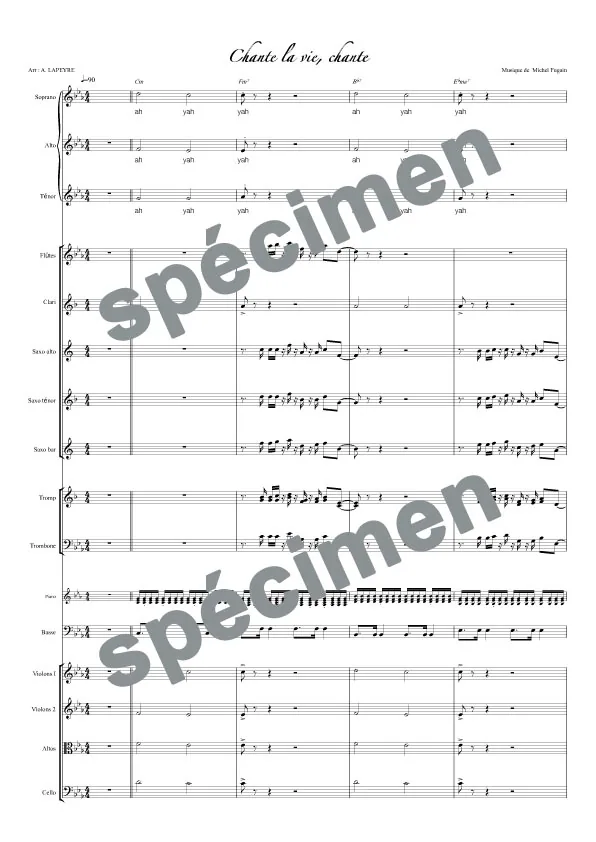 Chante la vie chante (orchestre et chant)