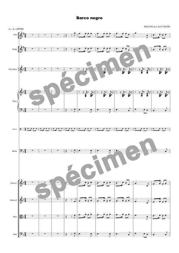 Barco negro (orchestre et chant)