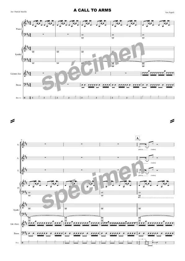 A call to arms/vox populi (chant et orchestre)