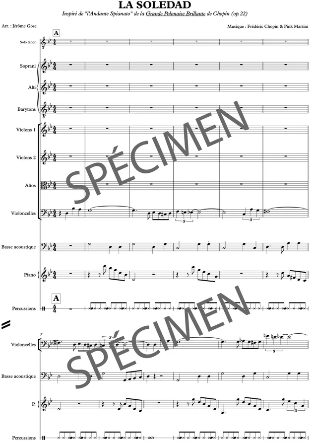 La soledad (orchestre et chant)