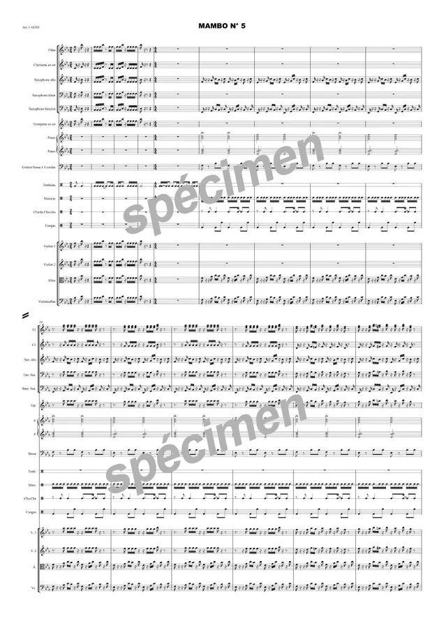 Mambo N°5 (orchestre)