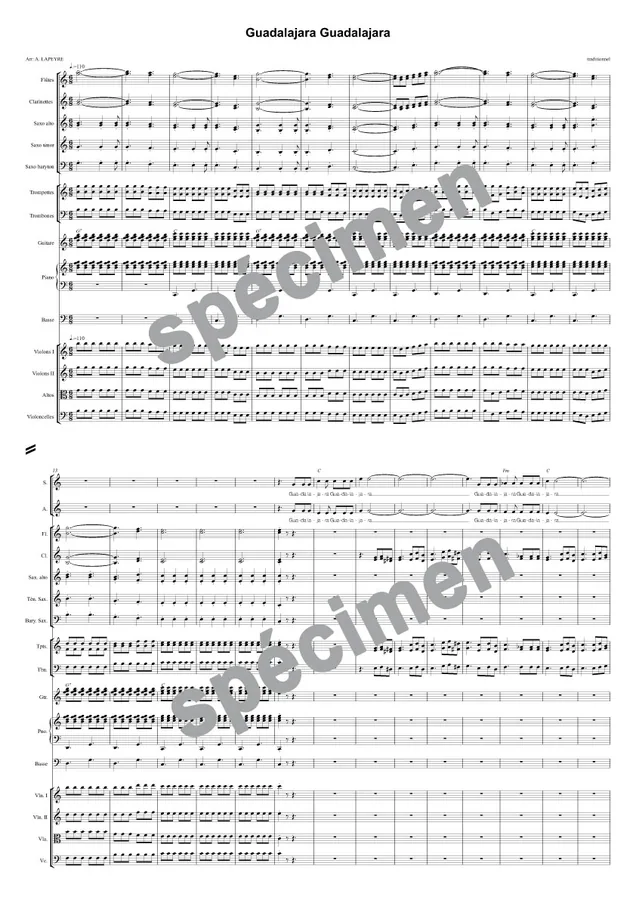 Guadalajara (orchestre et chant)