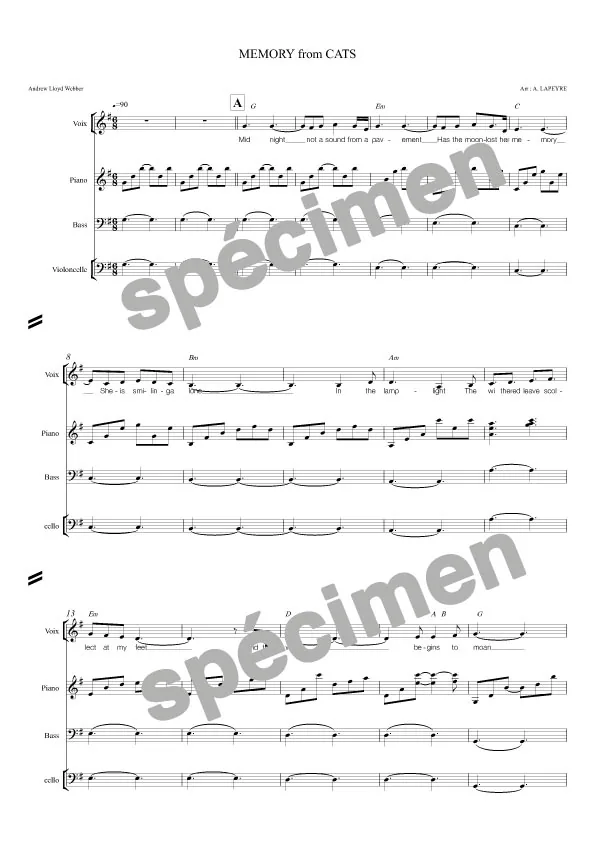 « Memory » Cats (orchestre et chant)