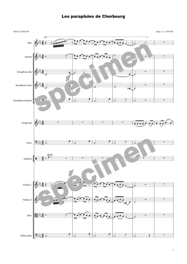 Les parapluies de Cherbourg (orchestre)