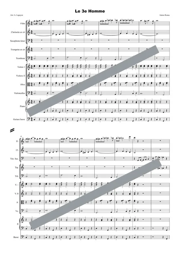 Le troisième homme (orchestre de chambre)