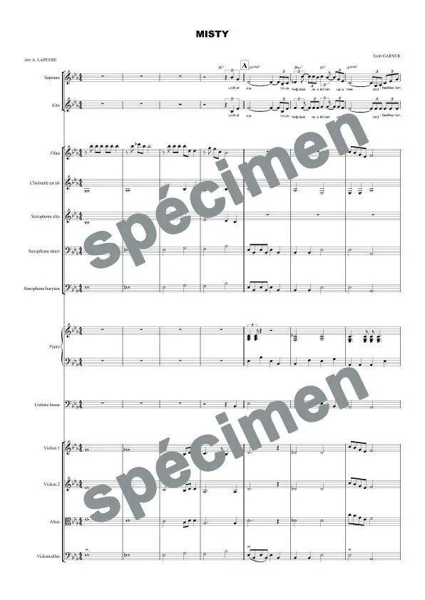 Misty (orchestre et chant)