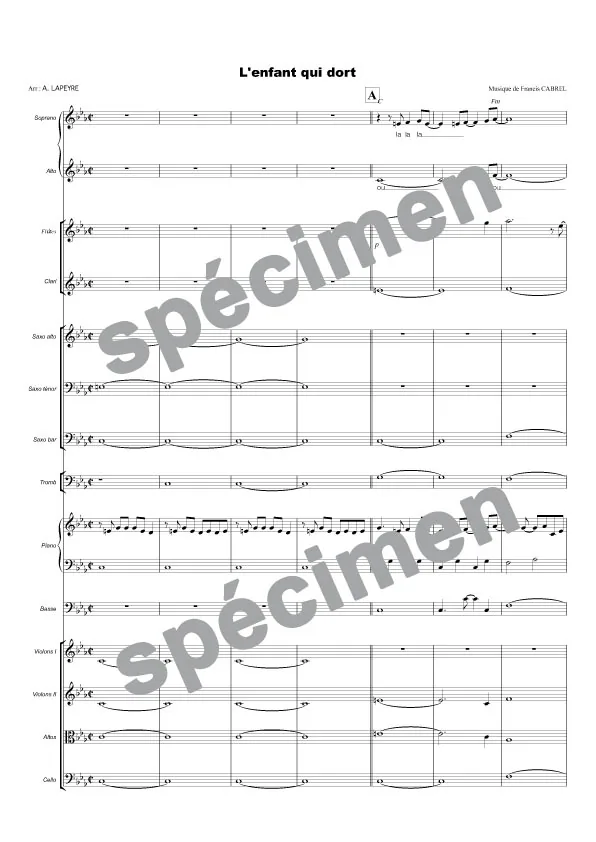 L’enfant qui dort (chant et orchestre)