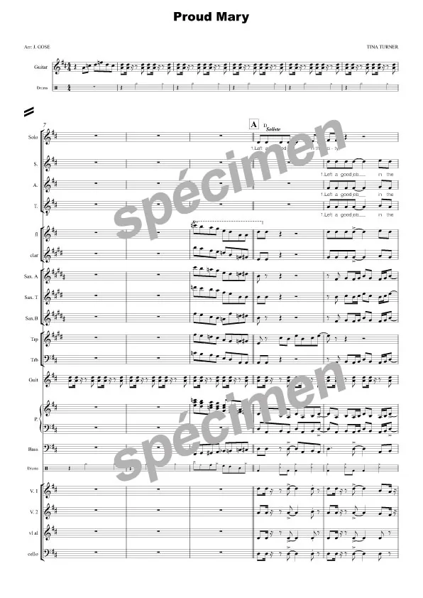 Proud Mary (chant et orchestre)
