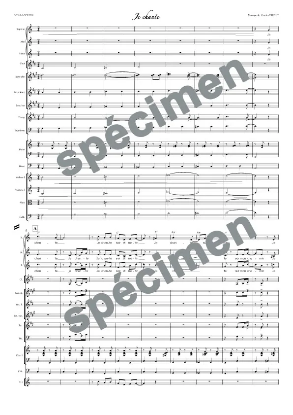 Je chante (orchestre et chant)