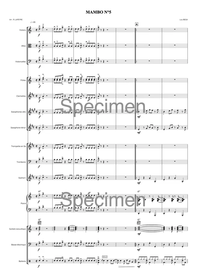 Mambo N°5 (orchestre) version junior