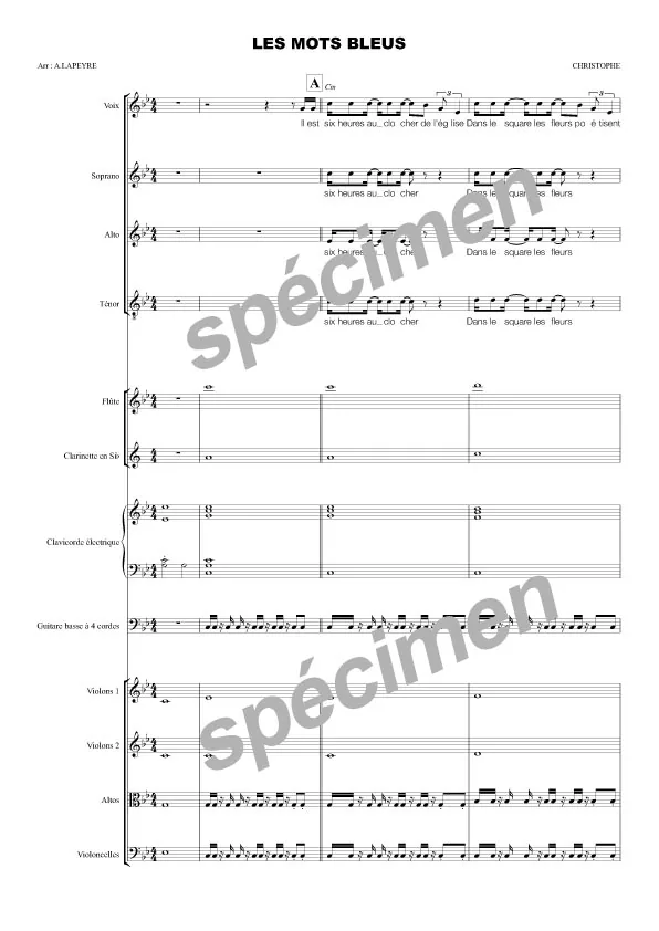 Les mots bleus (chant et orchestre)