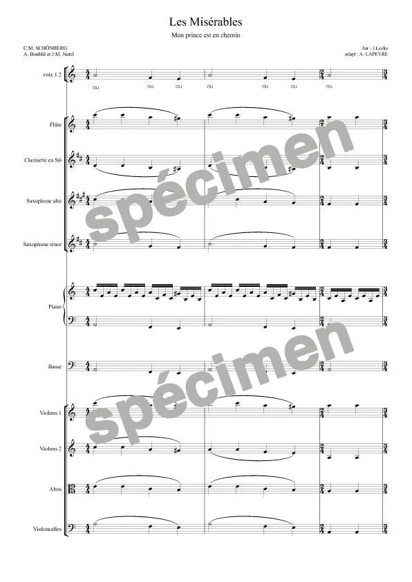« Mon prince est en chemin » Les Misérables (orchestre et chant)