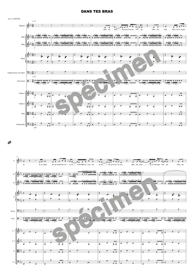 Dans tes bras (orchestre et chant)