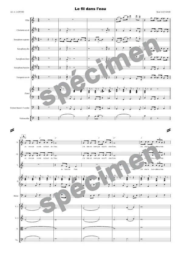 Le fil dans l’eau (orchestre et chant)