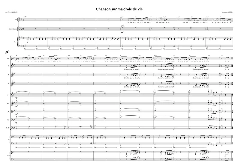 Chanson sur ma drôle de vie (chant+orchestre)