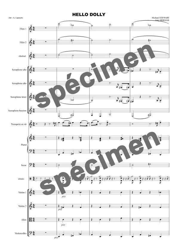 Hello Dolly (orchestre)