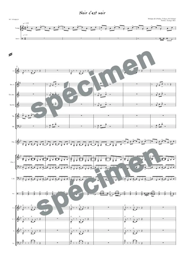 Noir c’est noir (orchestre et chant)