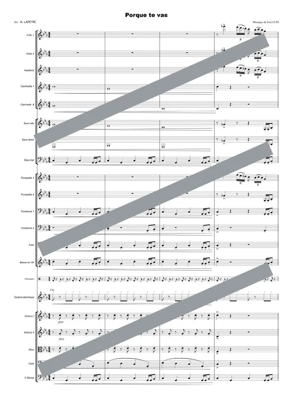 Porque te vas (orchestre et chant)
