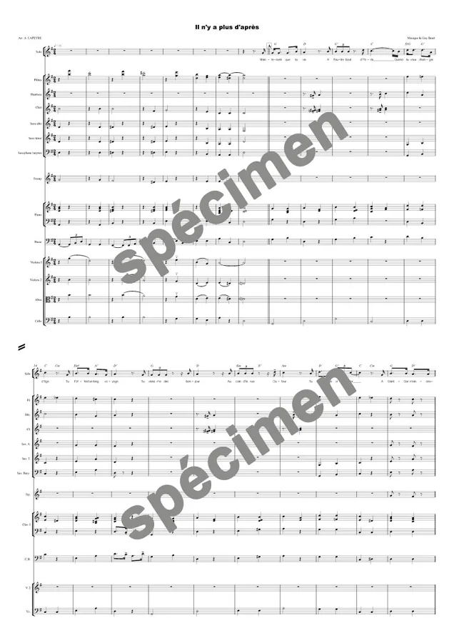 Il n’y a plus d’après (orchestre et chant)