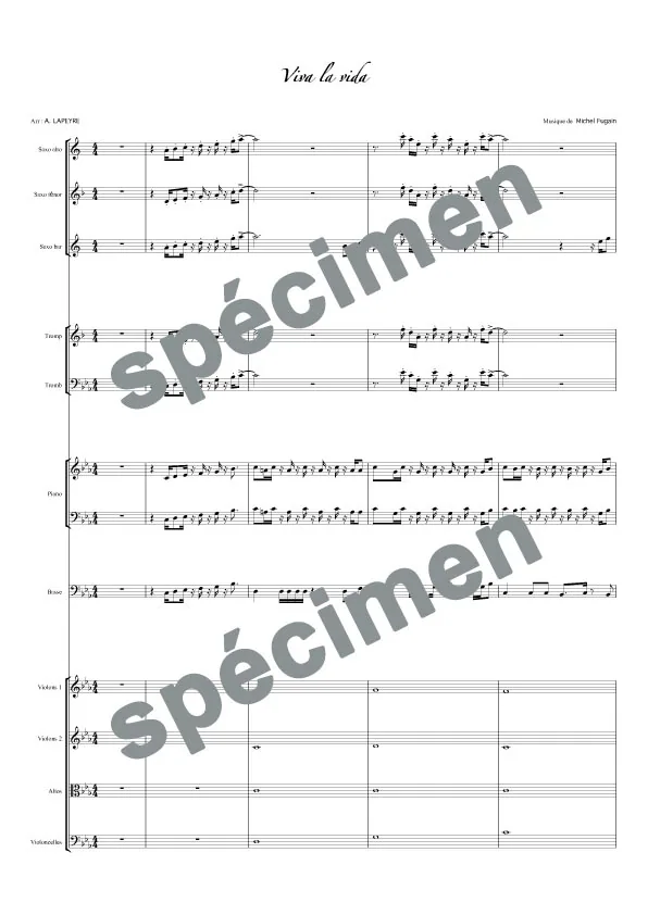 Viva la vida (orchestre et chant)