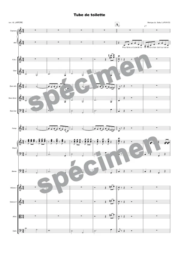Tube de toilette (orchestre et chant)